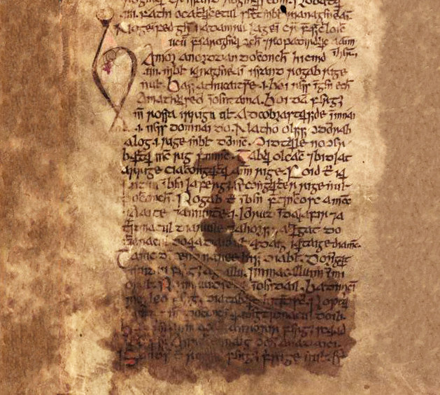 Fragmento de Scéla Chonchobuir